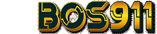 BOS911